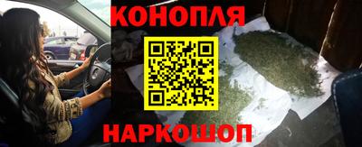 прущие крисы Нарткала