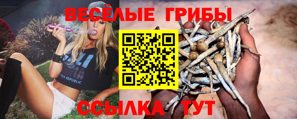 Псилоцибиновые грибы Magic Shrooms Советск